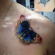 татуировка бабочка cover up